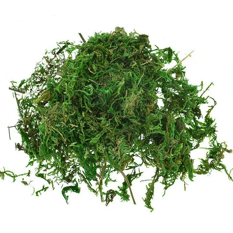 Preserved Moss Sheet - 本物の緑の苔の装飾植物、人工芝、絹の花、花瓶、植木鉢装飾用アクセサリー、乾燥、本物、800g
