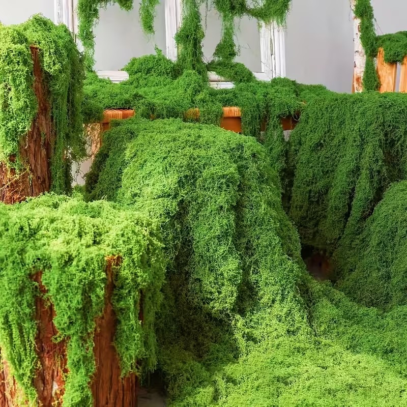 Preserved Moss Sheet - リアルな人工苔芝生フェイク芝生バイオニックプラント、インスタントポットデコレーション、プロのマイクロ造園とモデルディスプレイ用