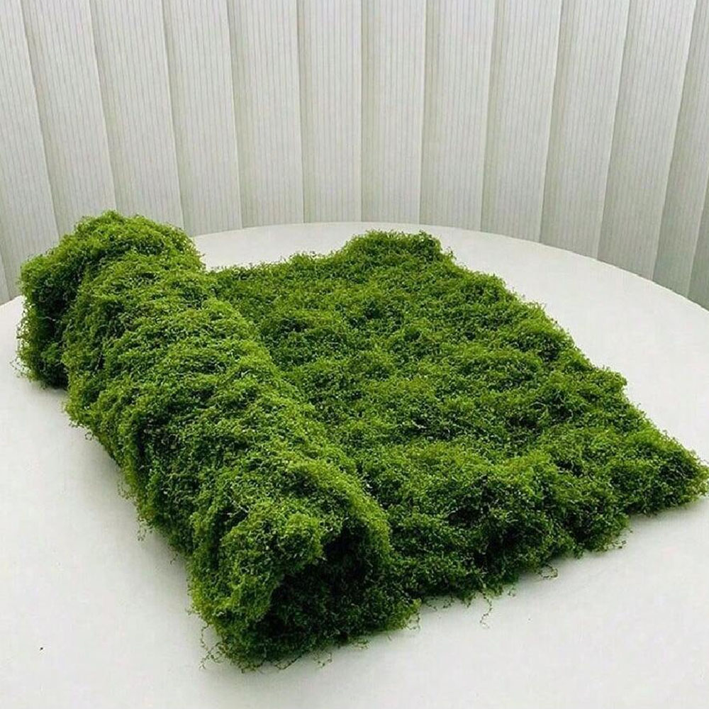 Preserved Moss Sheet - 1×1m フェイクモス DIY クラフト 芝生 人工苔