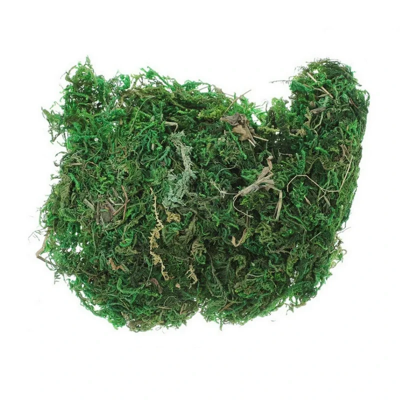 本物の緑の苔の装飾植物、人工芝、絹の花、花瓶、植木鉢装飾用ア - Preserved Moss Sheet のレビューと価格
