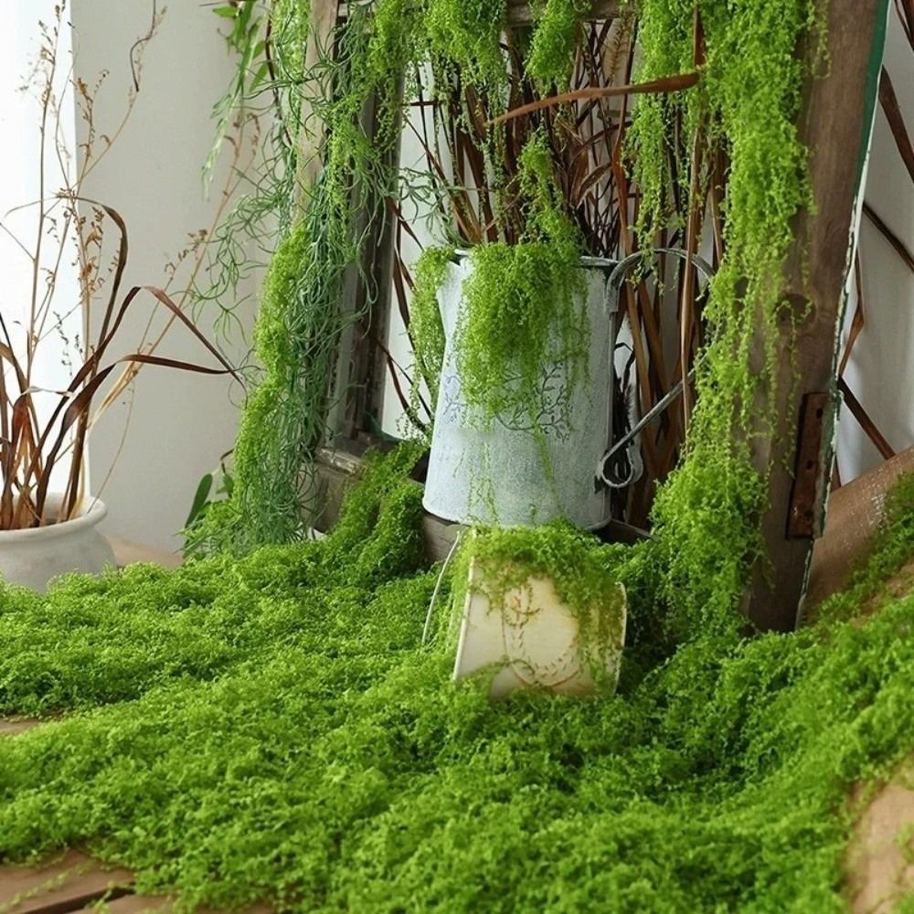 DIY人工芝ラグ 耐久性 水やり不要 人工モスパッド 本物そ - Preserved Moss Sheet のレビューと価格